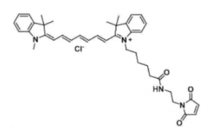 Cy7 Maleimide(Methyl)