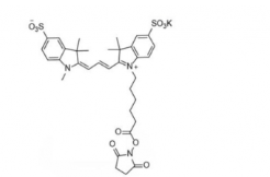 diSulfo-Cy3 NHS ester (Methyl)