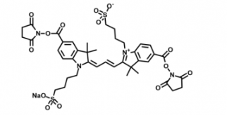 diSulfo-Cy3 bis-NHS ester