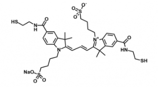 diSulfo-Cy3 bis-Thiol