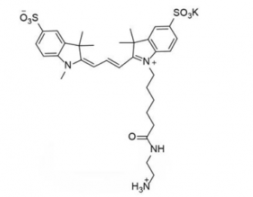 diSulfo-Cy3 C2 amine