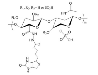 生物素素标记硫酸软骨素