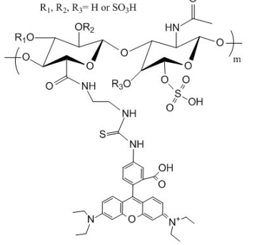 红色荧光素标记硫酸软骨素