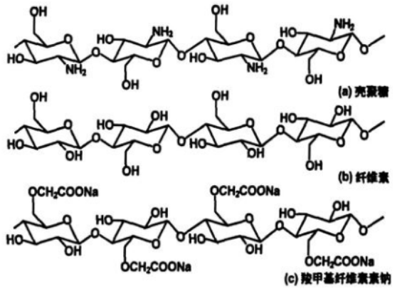 Chitosan-PEI