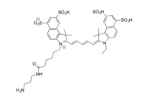 CY5.5-Dextran