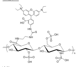 红色荧光素标记肝素