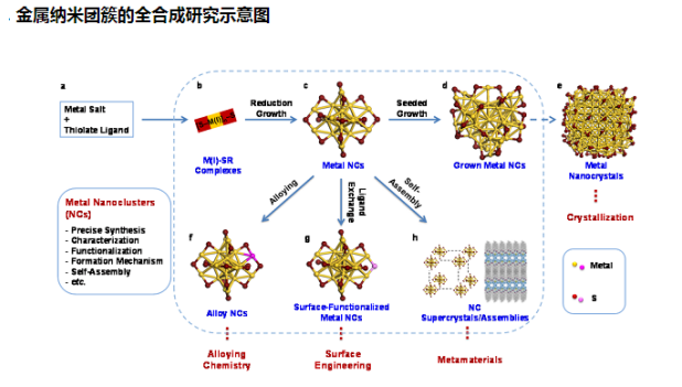 金属纳米簇是什么？结构式怎样的？