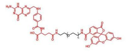 Super Fluor 750，Super Fluor 750, SE，激发发射波长：Excitation 750/Emission 775