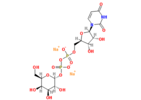 UDP-Gal