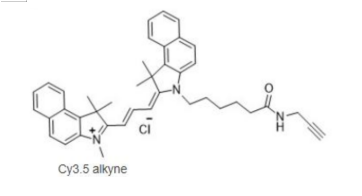 Cyanine3.5 alkyne