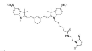 Sulfo-Cyanine5 maleimide，CAS号：2242791-82-6