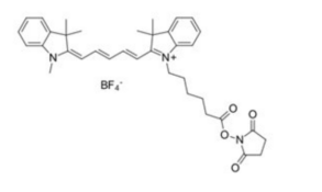 Cyanine5 NHS ester