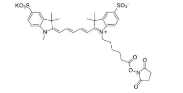 Sulfo-Cyanine5 NHS ester