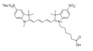 Sulfo-Cyanine5 Carboxylic acids