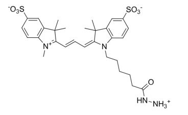 Sulfo-Cyanine3 hydrazide