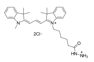 CAS号：1427705-31-4，Cyanine5 hydrazide，水溶性Cy5酰肼染料