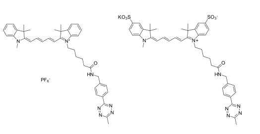 CAS号：2055138-86-6，Cyanine5.5 tetrazine，Sulfo-Cyanine5.5 tetrazine