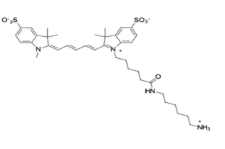 Sulfo-Cyanine5 amine，水溶性 Cy5 NH2，CAS NO.:2183440-44-8