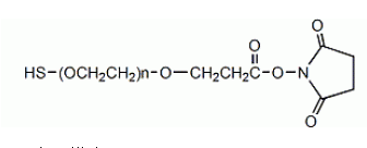 SH-PEG-NHS MW:2K 巯基-聚乙二醇-琥珀酰亚胺酯