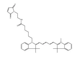 Sulfo CY5 Mal；水溶性CY5标记马来酰亚胺