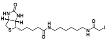 Biotin-C6-iodoacetamide ,93285-75-7