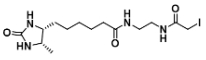 Desthiobiotin-Iodoacetamide  CAS number : 2924824-04-2