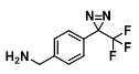 4-CF3-diazirine-benzyl amine     400781-05-7